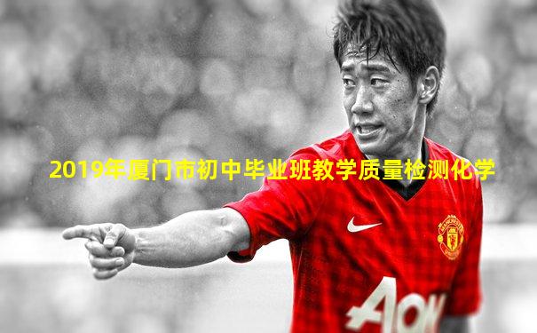2019年厦门市初中毕业班教学质量检测化学