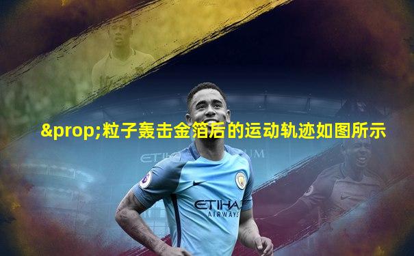 ∝粒子轰击金箔后的运动轨迹如图所示