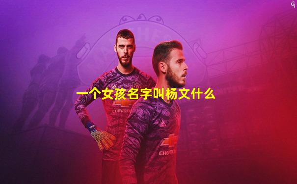 一个女孩名字叫杨文什么