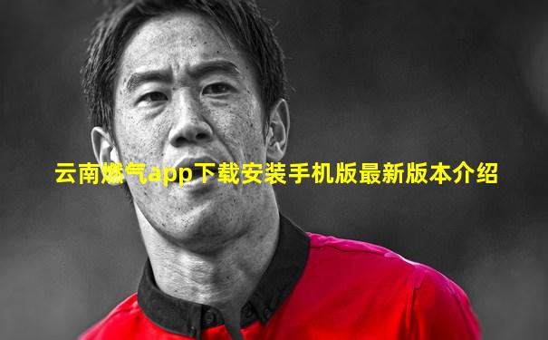 云南燃气app下载安装手机版最新版本介绍