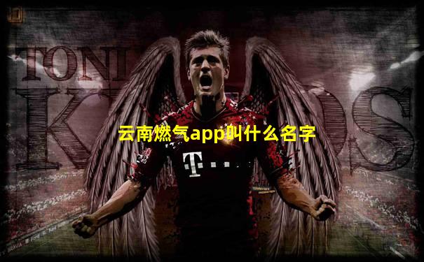 云南燃气app叫什么名字