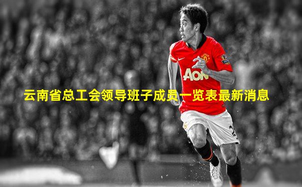 云南省总工会领导班子成员一览表最新消息