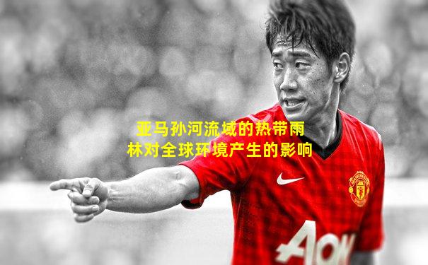 亚马孙河流域的热带雨林对全球环境产生的影响