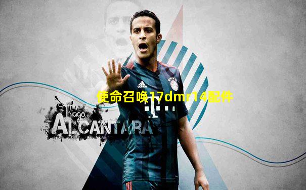 使命召唤17dmr14配件