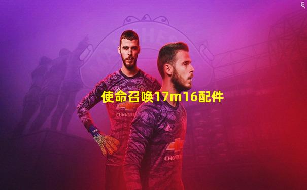 使命召唤17m16配件