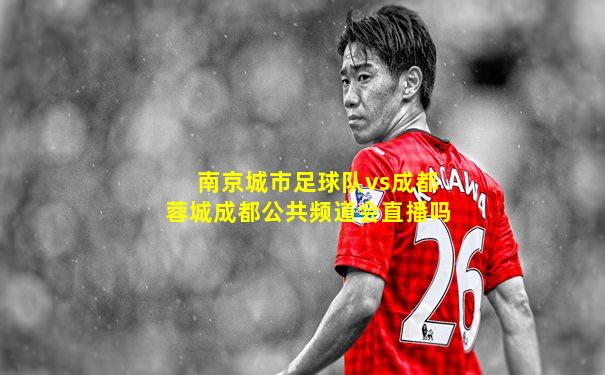 南京城市足球队vs成都蓉城成都公共频道会直播吗