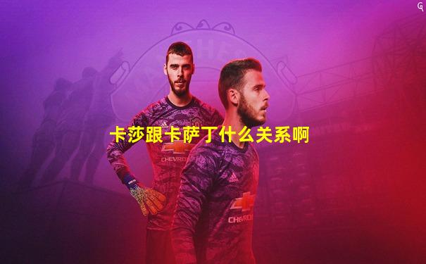卡莎跟卡萨丁什么关系啊