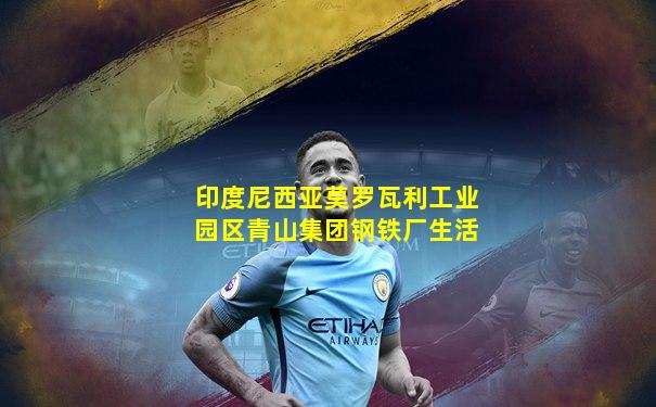 印度尼西亚莫罗瓦利工业园区青山集团钢铁厂生活