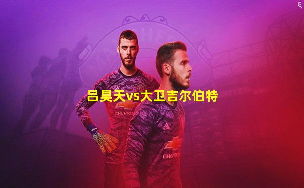 吕昊天vs大卫吉尔伯特