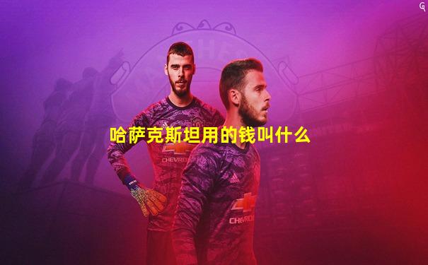 哈萨克斯坦用的钱叫什么