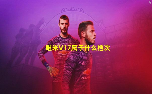 唯米V17属于什么档次