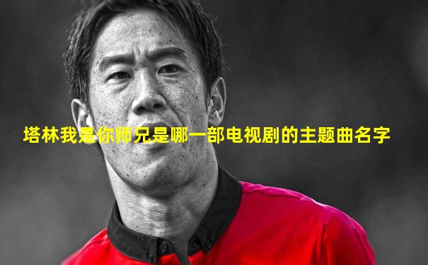 塔林我是你师兄是哪一部电视剧的主题曲名字