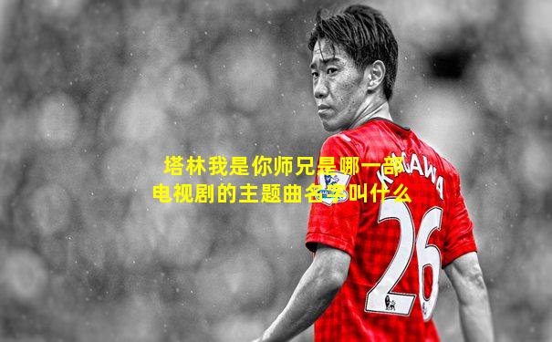 塔林我是你师兄是哪一部电视剧的主题曲名字叫什么