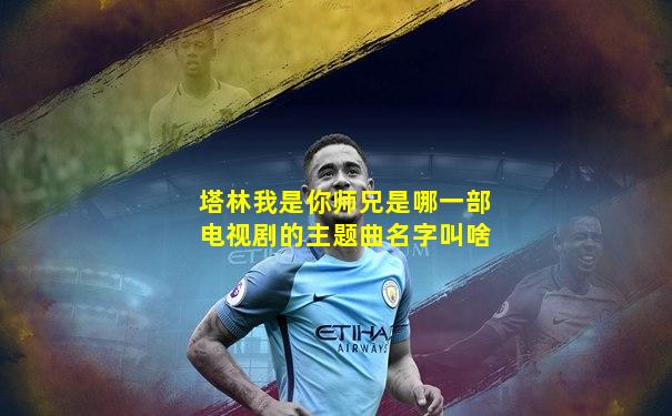 塔林我是你师兄是哪一部电视剧的主题曲名字叫啥