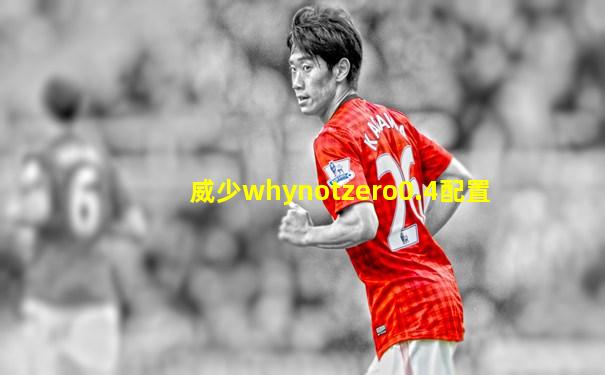 威少whynotzero0.4配置
