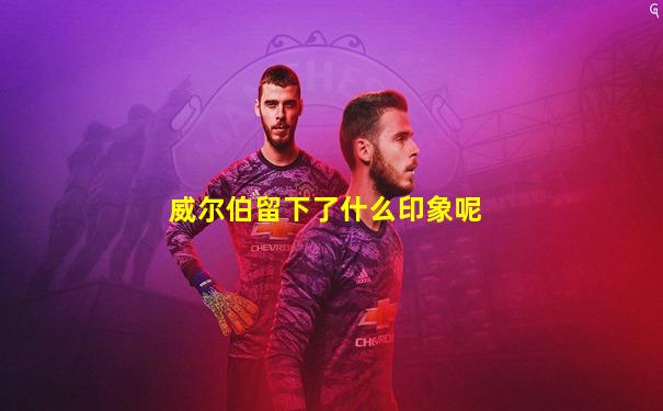 威尔伯留下了什么印象呢
