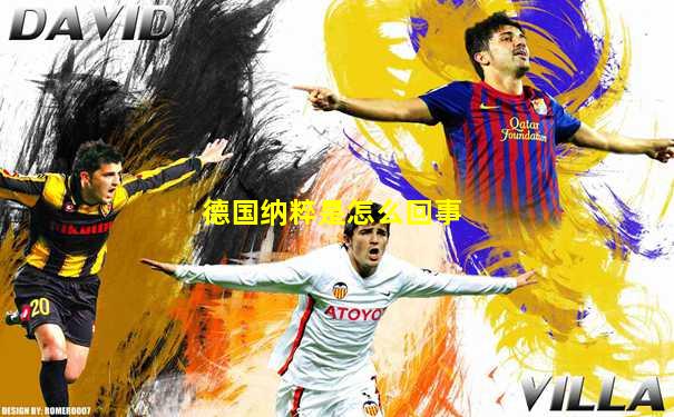 德国纳粹是怎么回事