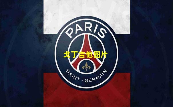 戈丁吉他图片