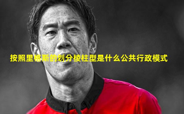 按照里格斯的划分棱柱型是什么公共行政模式