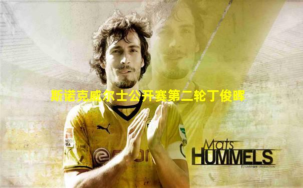 斯诺克威尔士公开赛第二轮丁俊晖