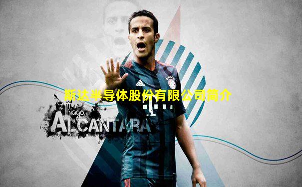 斯达半导体股份有限公司简介