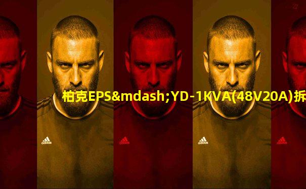 柏克EPS—YD-1KVA(48V20A)拆解视频教程