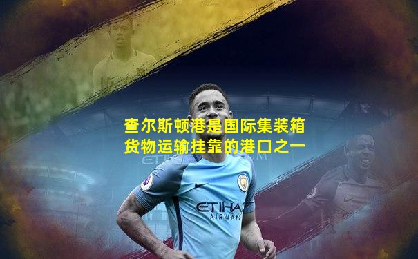 查尔斯顿港是国际集装箱货物运输挂靠的港口之一
