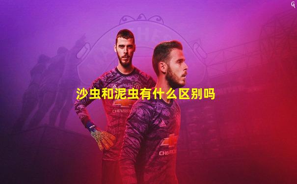 沙虫和泥虫有什么区别吗
