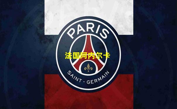 法国阿内尔卡