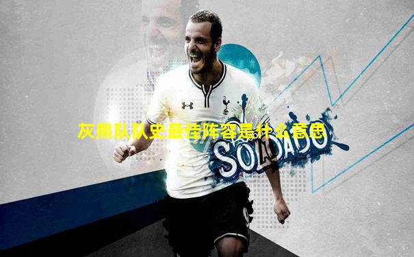 灰熊队队史最佳阵容是什么意思