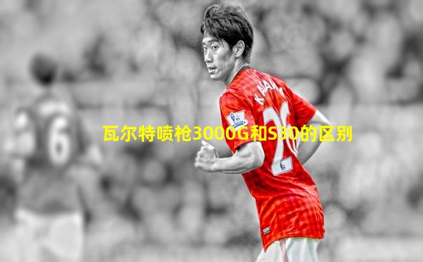 瓦尔特喷枪3000G和S30的区别