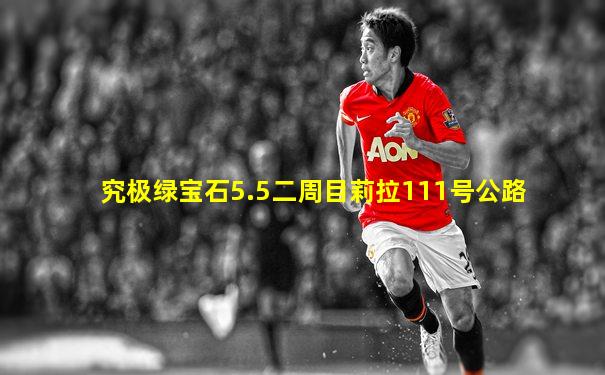 究极绿宝石5.5二周目莉拉111号公路