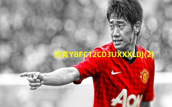 约克YBFC12CD3UXXXLDJ(2)