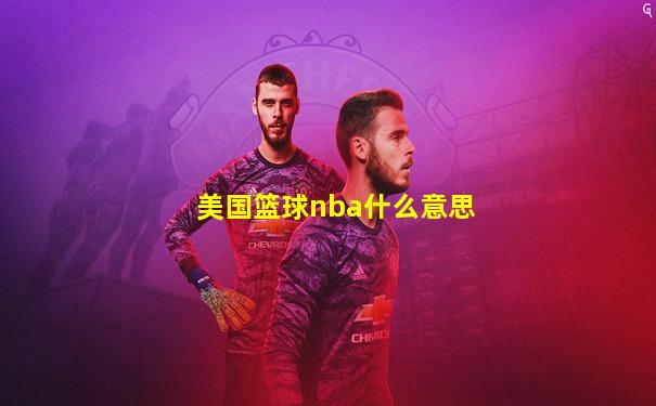 美国篮球nba什么意思