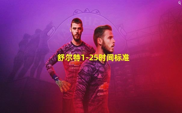 舒尔特1-25时间标准