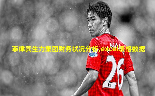 菲律宾生力集团财务状况分析,excel表格数据