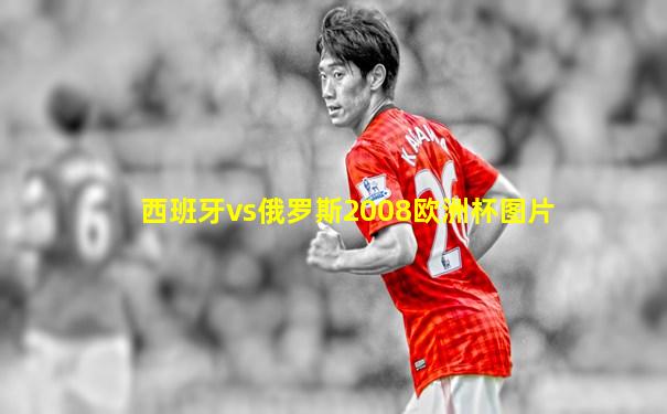 西班牙vs俄罗斯2008欧洲杯图片