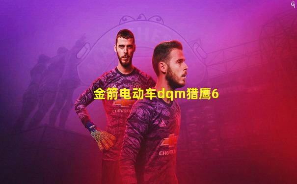 金箭电动车dqm猎鹰6