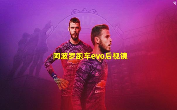 阿波罗跑车evo后视镜