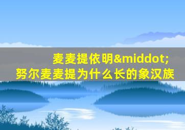 麦麦提依明·努尔麦麦提为什么长的象汉族